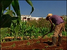 agricultura Habana ciudad.jpc.jpg